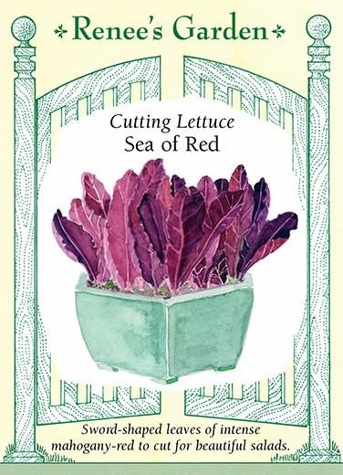 Renee's Garden 'Sea of Red' Cutting Lettuce Seed