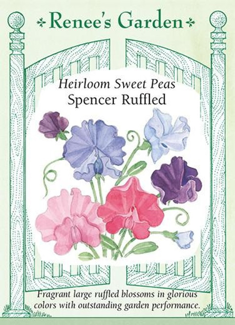 Renee's Garden 'Spencer Ruffled' Heirloom Sweet Peas Seed