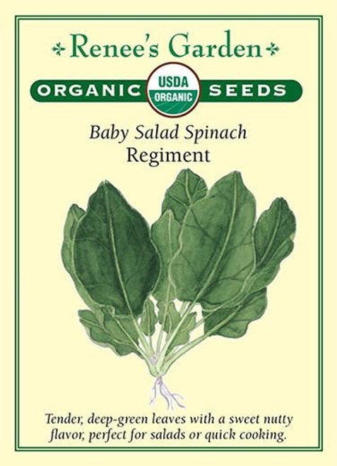 Renee's Garden 'Regiment' Baby Salad Spinach Organic Seed