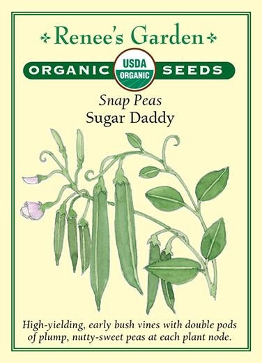 Renee's Garden 'Sugar Daddy' Snap Peas Organic Seed