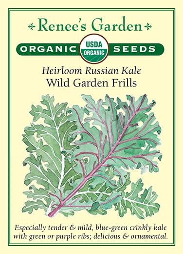 Renee's Garden 'Wild Garden Frills' Heirloom Russian Kale Organic Seed