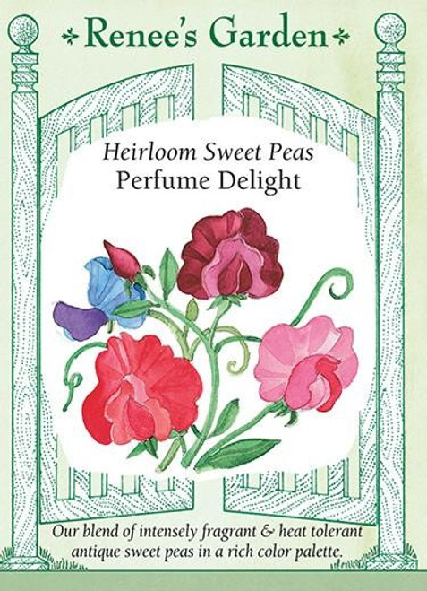 Renee's Garden 'Perfume Delight' Heirloom Sweet Peas Seed