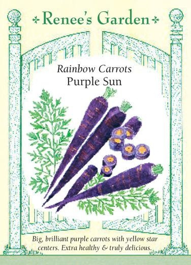 Renee's Garden 'Purple Sun' Rainbow Carrots Seed