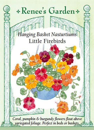 Renee's Garden 'Little Firebirds' Hanging Basket Nasturtiums Seed