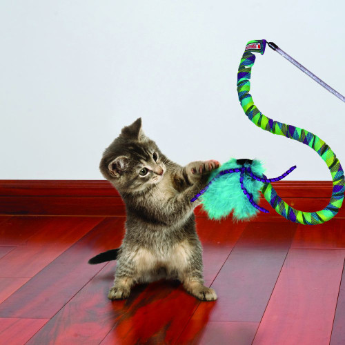 Two Cats Play with a Toy Rod with Feathers for Teasing. Vector