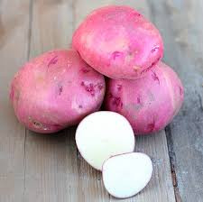 All Red Seed Potato, 5lb