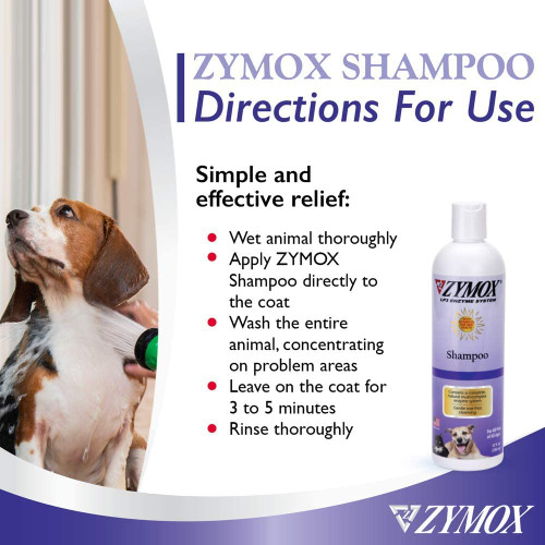 zymox shampoo petsmart