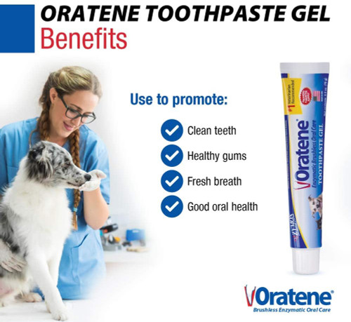 zymox oratene toothpaste gel
