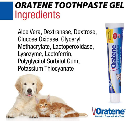 zymox oratene toothpaste gel
