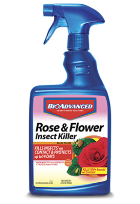 Bayer Roseflower Bug RTU, 24 oz