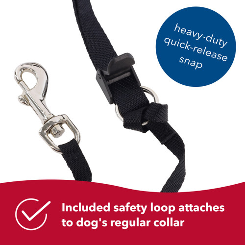 Walk 'n Train! Dog Head Halter