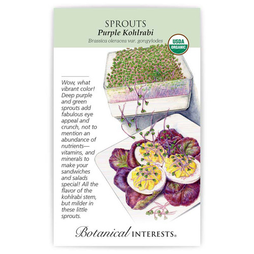 Purple Kohlrabi Sprouts Seeds