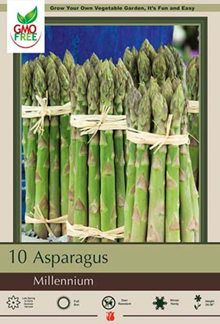 Netherland Bulb Co. Asparagus Millenium, 10pc