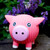 Hamlet Pig Ruff-Tex® Ball