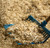 HEMP ANIMAL BEDDING, 70L