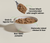 Open Farm Cat Can Grain Free Chicken & Salmon Pate