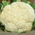 Territorial Snow Crown Cauliflower Seed