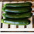 Territorial Emerald Delight Summer Squash Seed