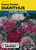 Lake Valley Dianthus Gaiety Mixed Colors Seed