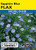 Lake Valley Flax Sapphire Blue Dwarf Seed