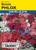 Lake Valley Phlox Beauty Mixed Colors Seed