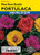 Lake Valley Portulaca (Moss Rose) Double Mix Seed