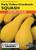 Lake Valley Squash (Summer) Early Yellow Crookneck Hybrid Seed