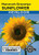 Lake Valley Sunflower Mammoth Greystripe Seed
