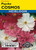 Lake Valley Cosmos Psyche Mixed Colors Seed