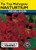 Lake Valley Nasturtium Tip Top Mahogany Seed