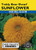 Lake Valley Sunflower Teddy Bear Dwarf Seed