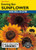 Lake Valley Sunflower Evening Sun Mixed Colors Seed