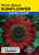 Lake Valley Sunflower Velvet Queen Red Seed
