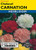 Lake Valley Carnation Chabaud Mix Colors Seed