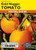 Lake Valley Tomato (Bush) Gold Nugget Seed