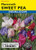Lake Valley Sweet Pea Mammoth Mixed Colors Seed