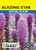Lake Valley Blazing Star Seed