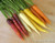 Renee's Garden Harlequin Mix Rainbow Carrots Seed
