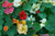 Renee's Garden 'Whirlybird' Rainbow Nasturtium Seed