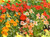 Renee's Garden 'Alaska Mix' Heirloom Nasturtium Seed