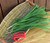 Renee's Garden 'Garlic Chives' Heirloom Herb Seed