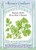 Renee's Garden 'Slow Bolt Cilantro' Kitchen Herb Seed