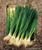 Renee's Garden 'Sprint' Salad Scallions Organic Seed