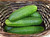 Renee's Garden 'Straight Eight' Heirloom Slicing Cucumber Organic Seed