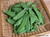 Renee's Garden 'Oregon Sugar Pod II' Snow Peas Organic Seed