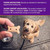 Old Mother Hubbard Original Mini Biscuits