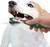 Nylabone Advanced Oral Care Natural Dog Dental Kit, 2.5oz