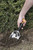 Fiskars Big Grip Garden Hand Trowel, Black and Orange