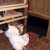 Cozy-Safe Chicken Coop Heater (200 watts)