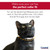 Snag-Proof Safety Cat Collar, 3/8in x 10in